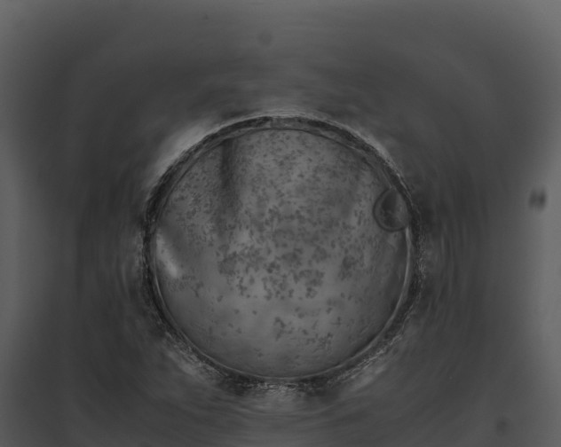 X0000095691263200801151140