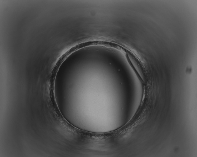 X0000095691264200801151140