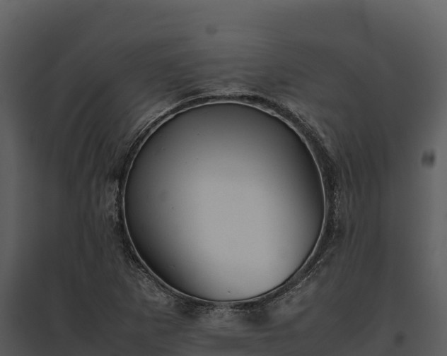 X0000095691265200801151140