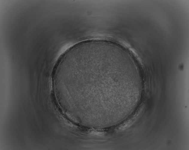 X0000095691267200801151140