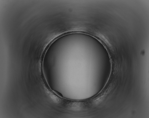 X0000095691268200801151140
