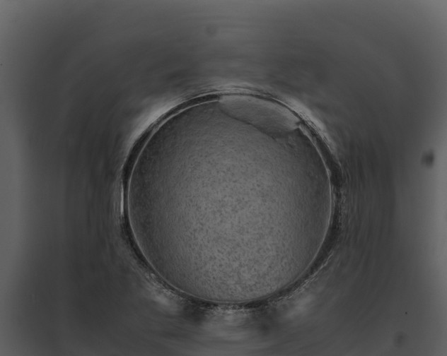 X0000095691269200801151140