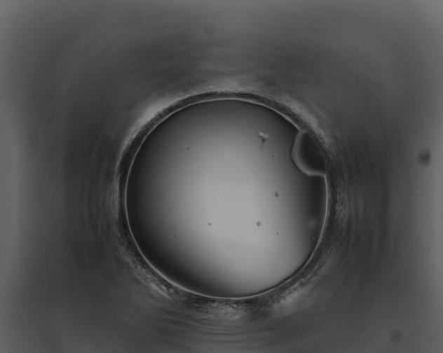 X0000095691270200801151140