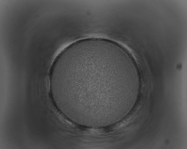 X0000095691271200801151140