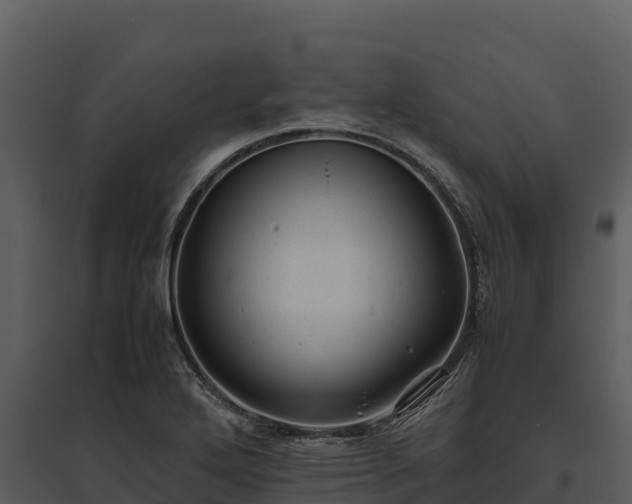 X0000095691272200801151140