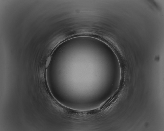X0000095691273200801151140