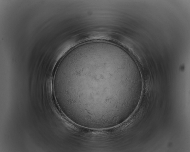 X0000095691274200801151140
