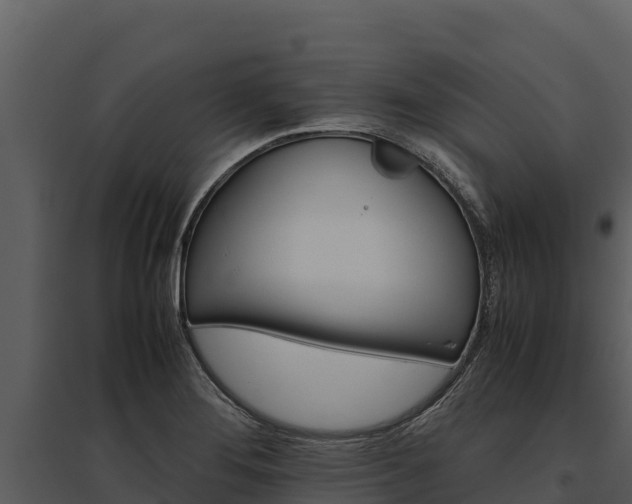 X0000095691276200801151140