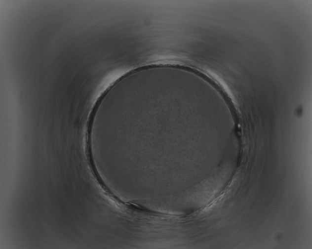 X0000095691277200801151140