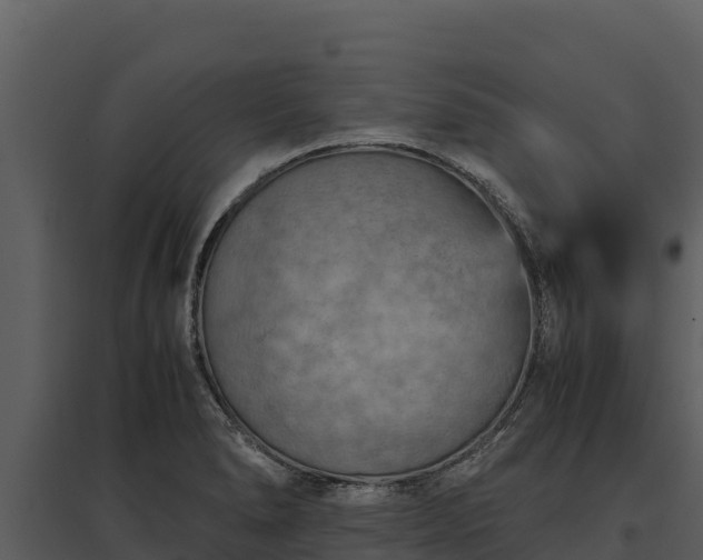 X0000095691278200801151140