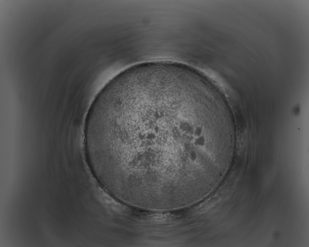 X0000095691279200801151140