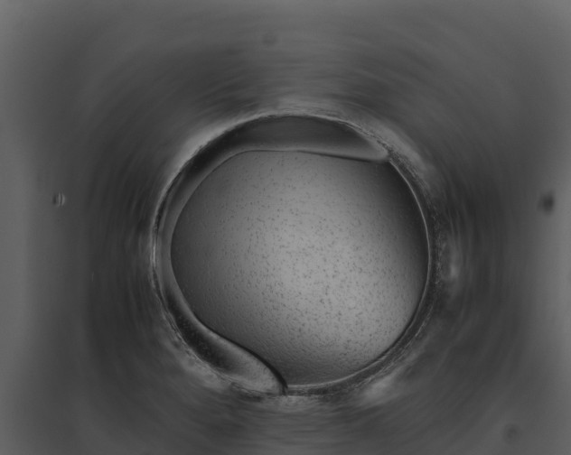 X0000095691280200801151140