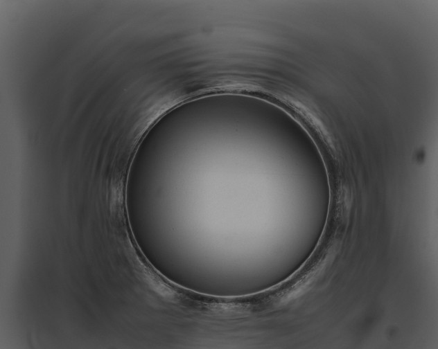 X0000095691281200801151140