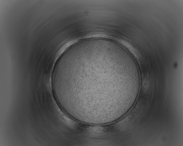 X0000095691282200801151140