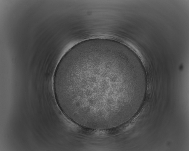 X0000095691283200801151140