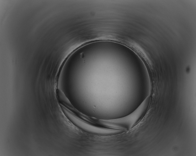 X0000095691284200801151140