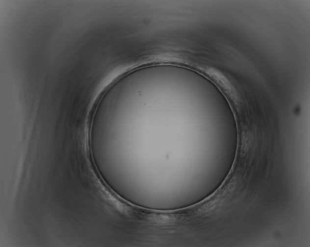 X0000095691286200801151140