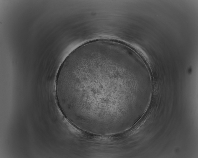 X0000095691287200801151140