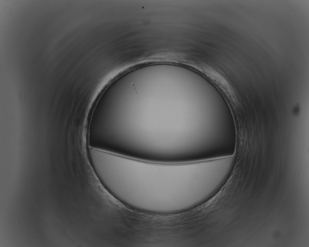 X0000095691288200801151140