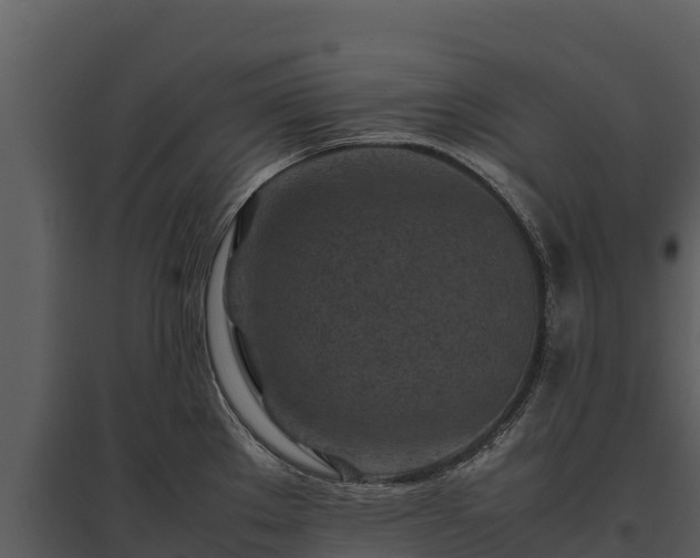 X0000095691289200801151140