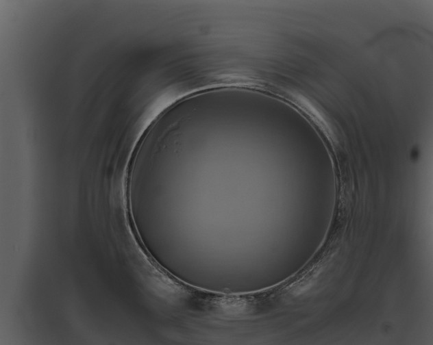 X0000095691291200801151140