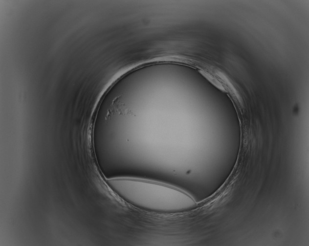 X0000095691292200801151140