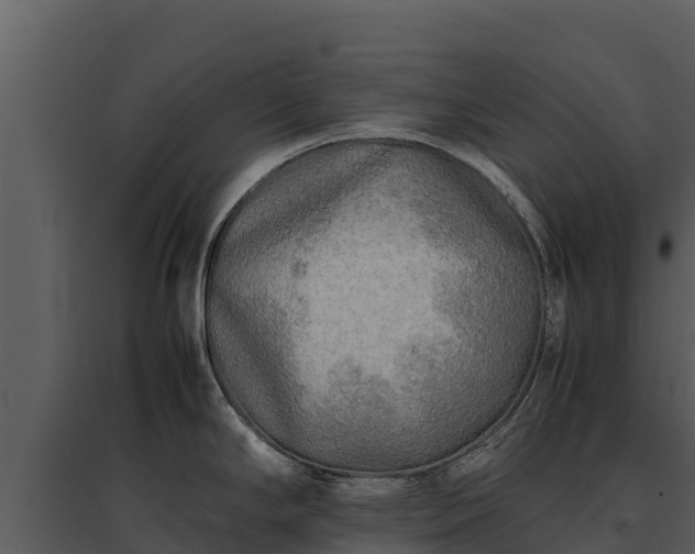 X0000095691294200801151140