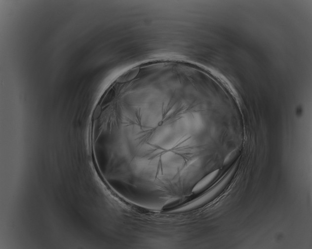 X0000095691295200801151140