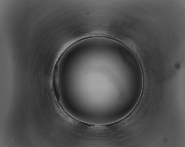 X0000095691296200801151140