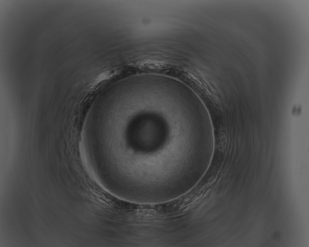 X0000095691297200801151139