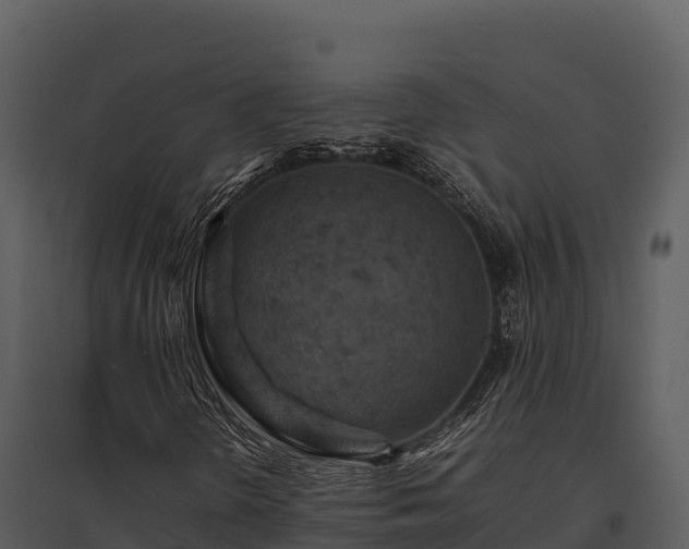 X0000095691298200801151139