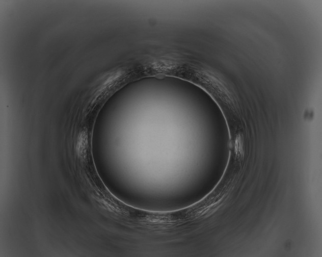 X0000095691299200801151139