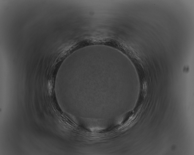 X0000095691300200801151139