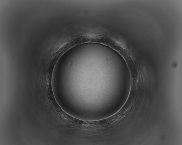 X0000095691301200801151139