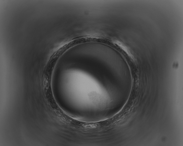 X0000095691303200801151139