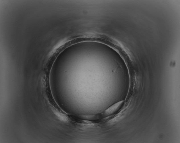X0000095691304200801151139