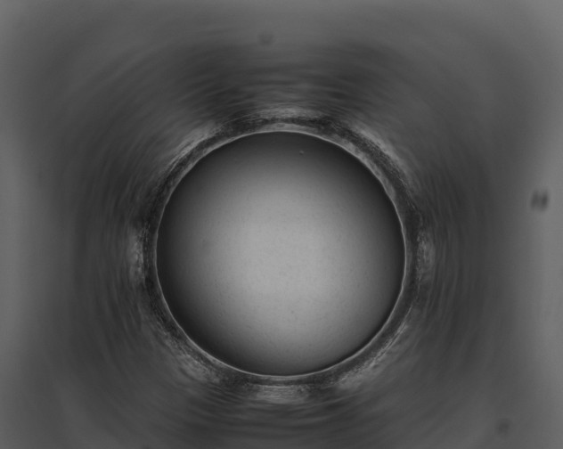 X0000095691305200801151139