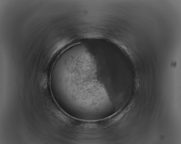 X0000095691306200801151139