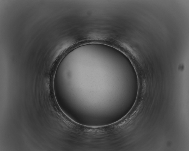 X0000095691307200801151139