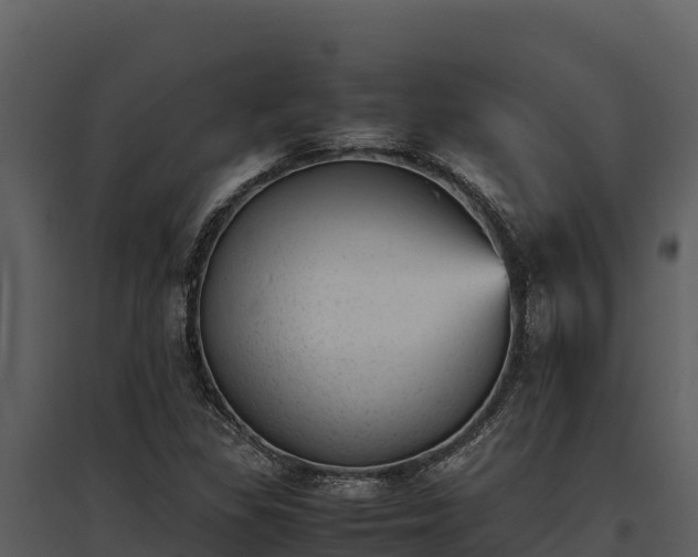 X0000095691309200801151139