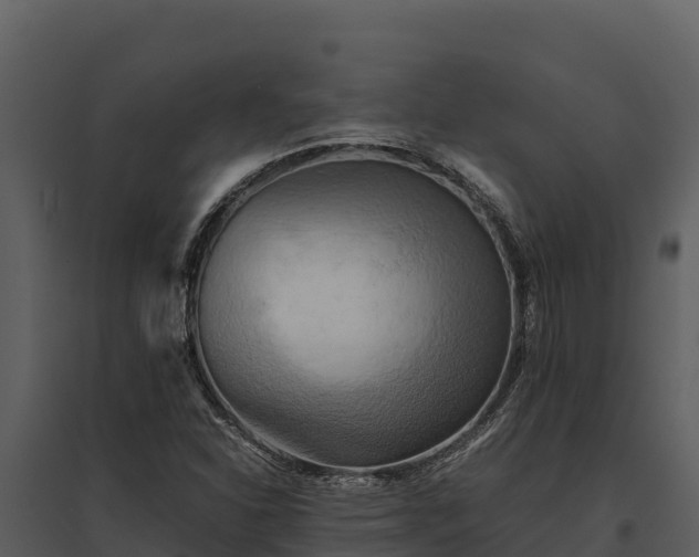 X0000095691310200801151139