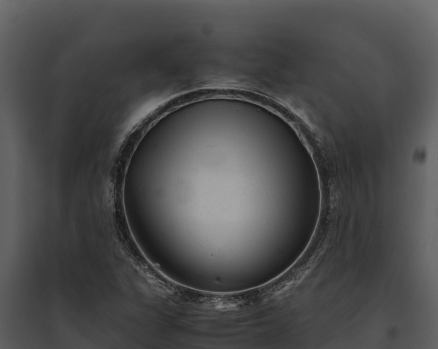 X0000095691311200801151139