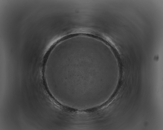 X0000095691312200801151139