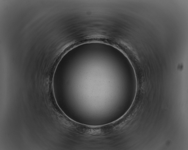 X0000095691313200801151139