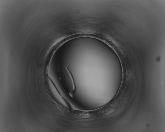 X0000095691315200801151139