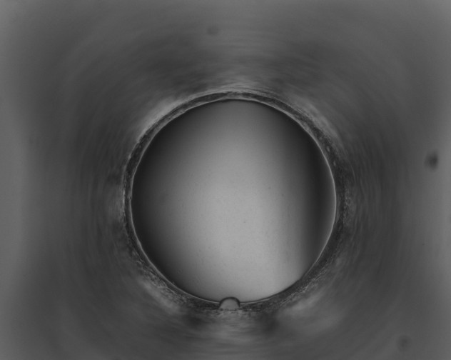 X0000095691316200801151139