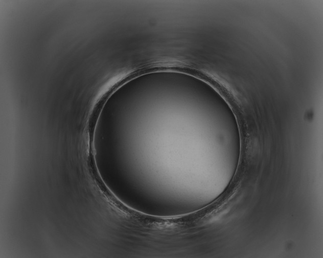 X0000095691317200801151139