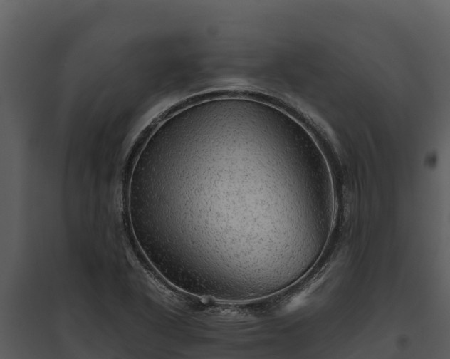 X0000095691318200801151139