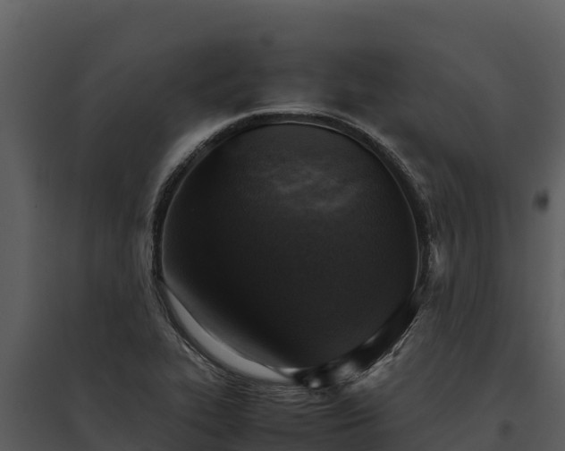 X0000095691319200801151139