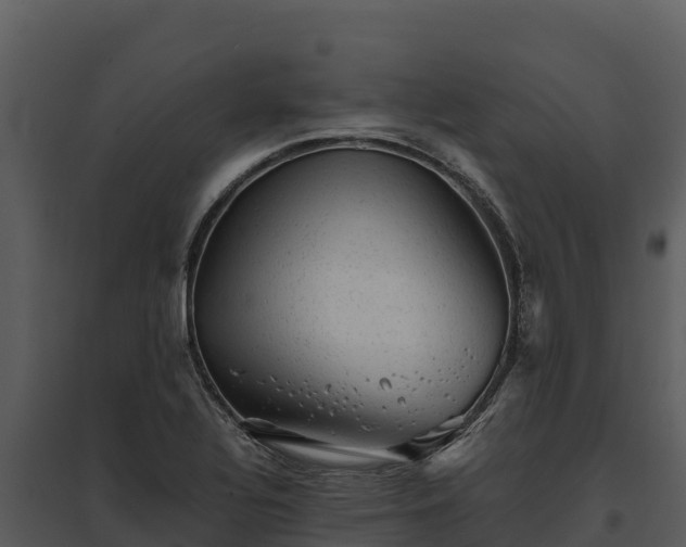 X0000095691320200801151139